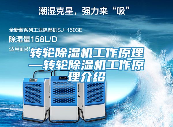轉輪91看片网站工作原理—轉輪91看片网站工作原理介紹