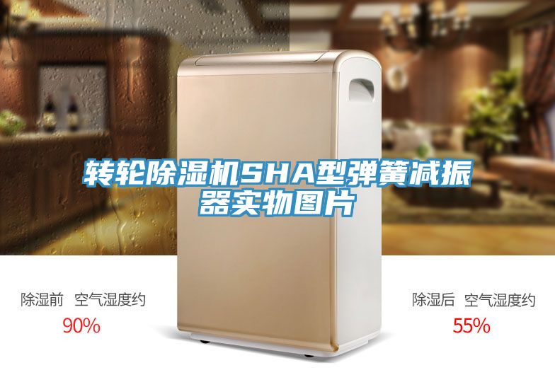 轉輪91看片网站SHA型彈簧減振器實物圖片