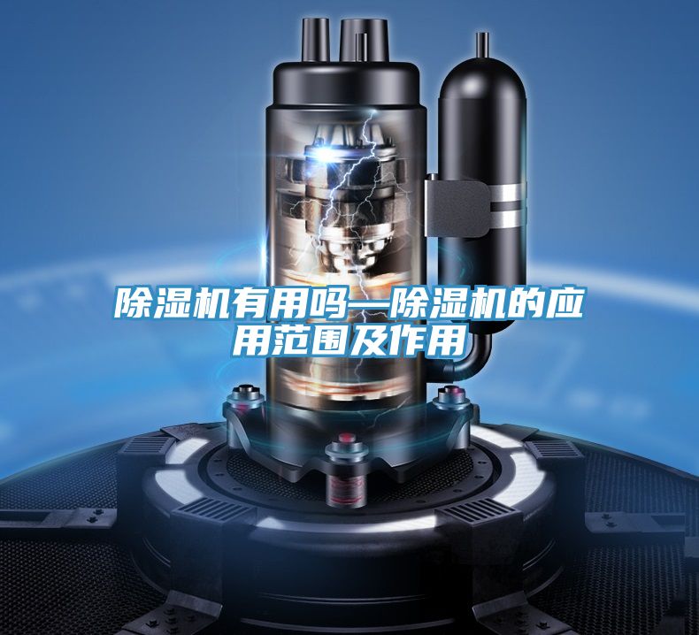 91看片网站有用嗎—91看片网站的應用範圍及作用