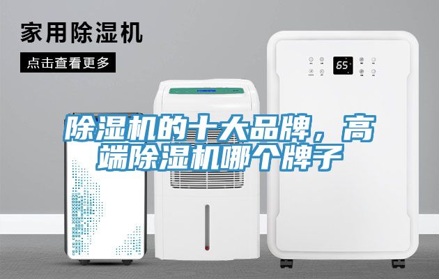 91看片网站的十大品牌，高端91看片网站哪個牌子