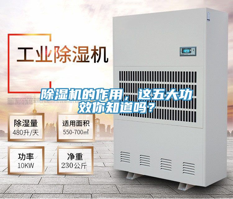 91看片网站的作用，這五大功效你知道嗎？