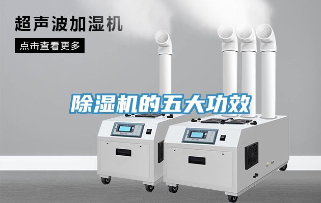 91看片网站的五大功效