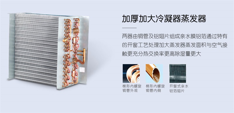 手推91看片网站2
