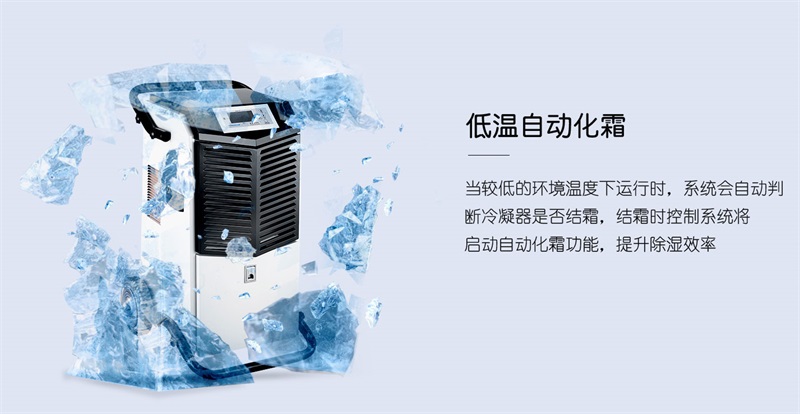 手推91看片网站6